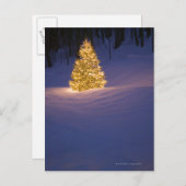 外でLitのクリスマスツリー シーズンポストカード (正面/裏面)