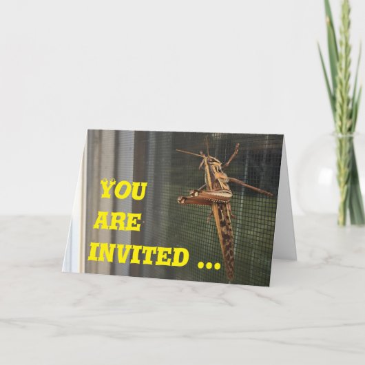 外に招待され出来つるろう 招待状 (正面)