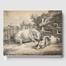 外のペンで藁に寝ている2匹の豚