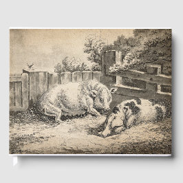 外のペンで藁に寝ている2匹の豚 ゲストブック