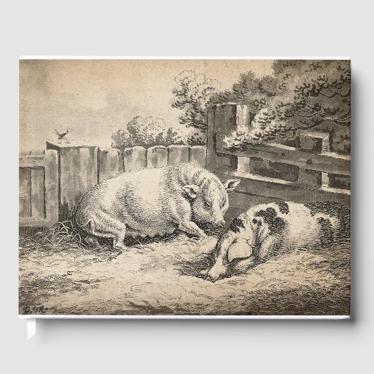 外のペンで藁に寝ている2匹の豚 ゲストブック (正面)