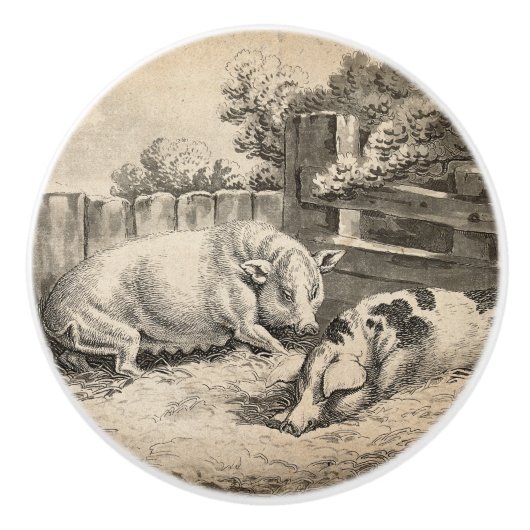 外のペンで藁に寝ている2匹の豚 セラミックノブ (正面)