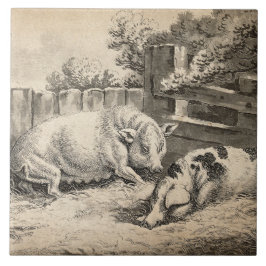 外のペンで藁に寝ている2匹の豚 タイル