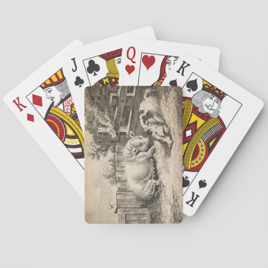 外のペンで藁に寝ている2匹の豚 トランプ (裏面)