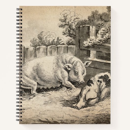 外のペンで藁に寝ている2匹の豚 ノートブック (正面)