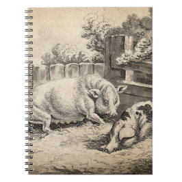 外のペンで藁に寝ている2匹の豚 ノートブック