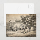 外のペンで藁に寝ている2匹の豚 ポストカード (正面/裏面)