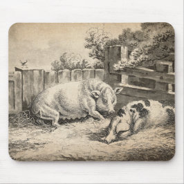 外のペンで藁に寝ている2匹の豚 マウスパッド