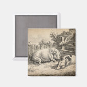 外のペンで藁に寝ている2匹の豚 マグネット (正面/裏面)