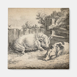 外のペンで藁に寝ている2匹の豚 マグネット