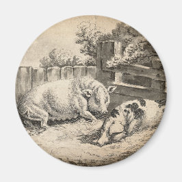 外のペンで藁に寝ている2匹の豚 マグネット