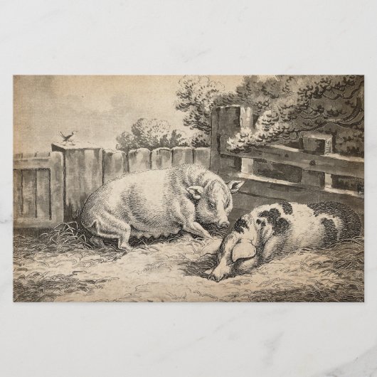 外のペンで藁に寝ている2匹の豚 便箋 (正面)