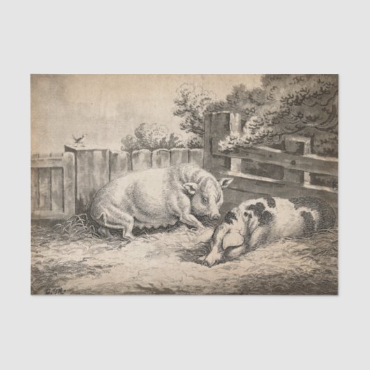 外のペンで藁に寝ている2匹の豚 薄葉紙 (正面)