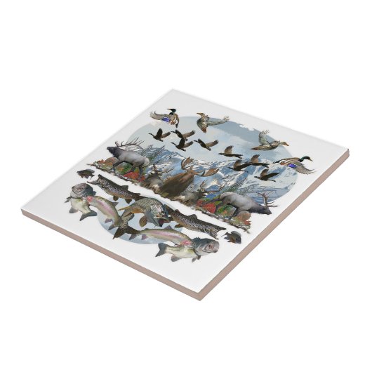 外の生命 タイル (側面)