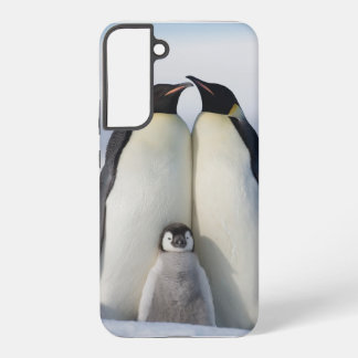 外は寒いよ ペンギン Samsung Galaxyケース Galaxy S22+ケース