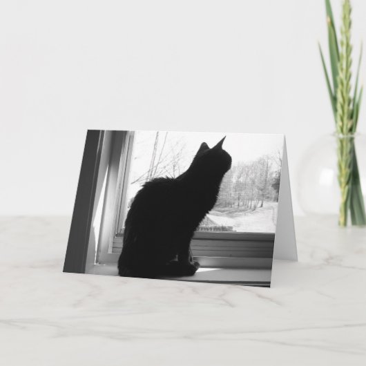 外を見ている猫 カード (正面)