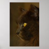 外を見る ポスター (正面)