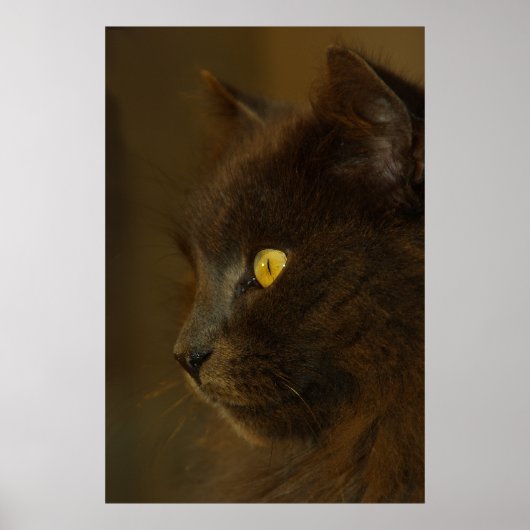 外を見る ポスター (正面)