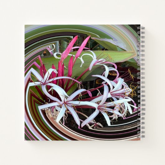 外を覗いて….. ノートブック (裏面)