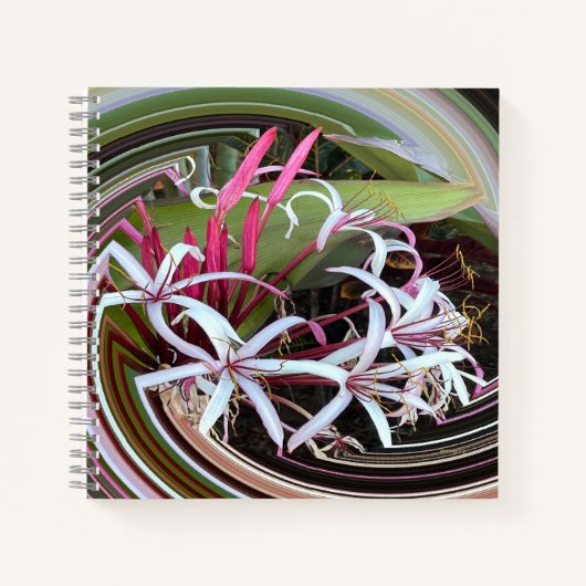 外を覗いて….. ノートブック (正面)