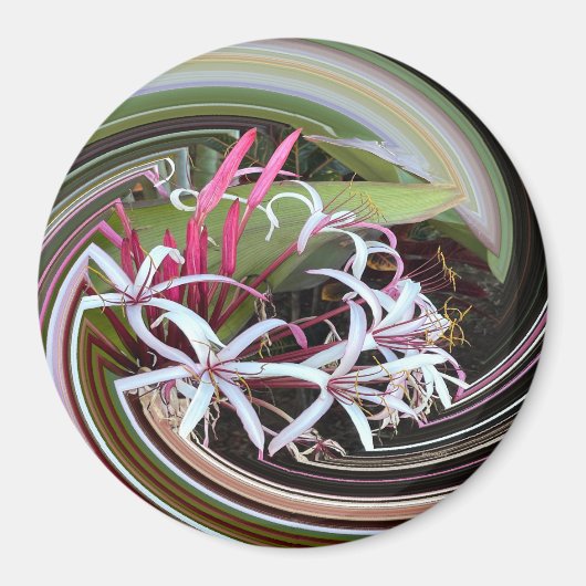 外を覗いて….. マグネット (正面)