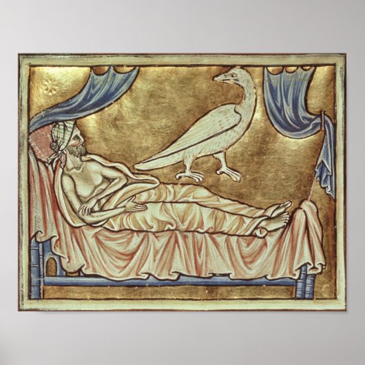 外国から知られるカラドリオスの鳥 ポスター (正面)