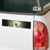 外国のイエス・キリストの復活 バンパーステッカー (トラック上)