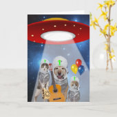 外国のテーマおもしろいなペット誕生日 カード (黄色い花)