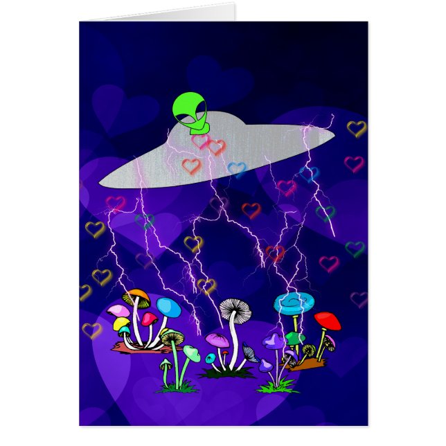 外国の訪問者 (正面)