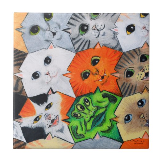 外国のAmomg私達セラミックタイル タイル (正面)