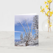 外国のLifeform カード (黄色い花)