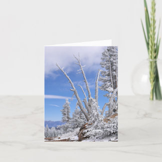 外国のLifeform カード