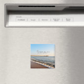 外岸桟橋磁石 マグネット (インサイチュ (食洗機))