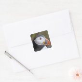 外洋性の海鳥、ニシツブイ スクエアシール (封筒)