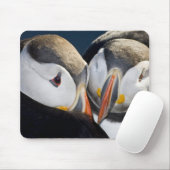 外洋性の海鳥、ニシツブイ マウスパッド (マウス)