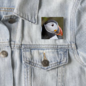 外洋性の海鳥、ニシツブイ 缶バッジ (インサイチュ)