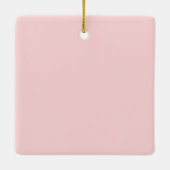 外皮から種パレスチナまで自由になる！ セラミックオーナメント (裏面)