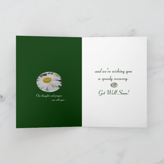 外科を持っているフランスギクの野生の花の花項目 カード (内部)