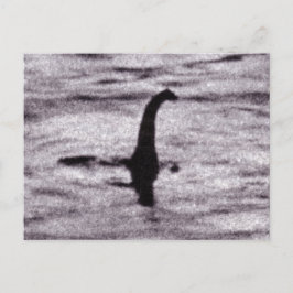 外科医の写真はがき ポストカード