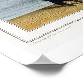 外科医、プレート6「海軍の衣装王室の」 ポスター (角)