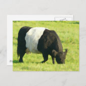 外絵を描野の牛を見る ポストカード (正面/裏面)