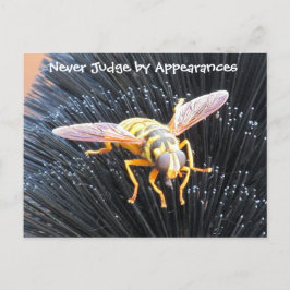 外観で決して判断しないビーはがき ポストカード