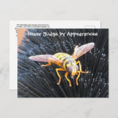 外観で決して判断しないビーはがき ポストカード (正面/裏面)