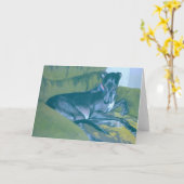 外観 カード (黄色い花)