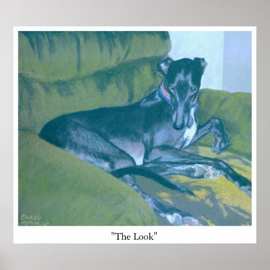 外観 ポスター (正面)