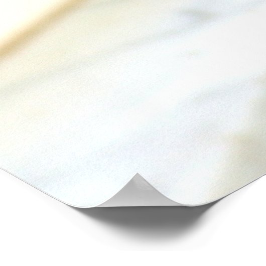 外観 ポスター (角)