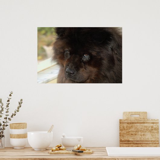 外観 ポスター (キッチン)