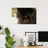 外観 ポスター (ホームオフィス)