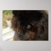 外観 ポスター (正面)