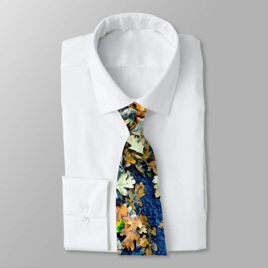 外読離れにある ネクタイ (タイ)